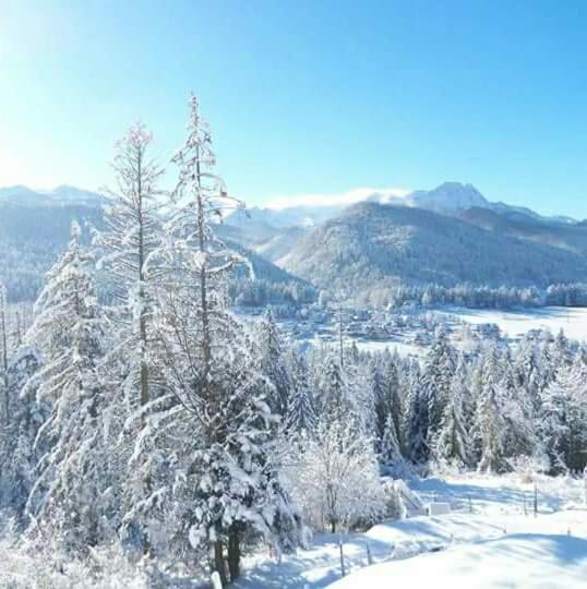 Pokoje Goscinne Anna Bobak Zakopane Eksteriør billede